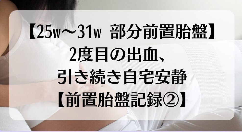 【25w~31w 部分前置胎盤】2度目の出血、引き続き自宅安静【前置胎盤記録②】