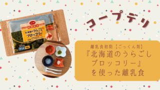 【離乳食初期ごっくん期】コープデリ『北海道のうらごしブロッコリー』で初めての離乳食を作ってみた