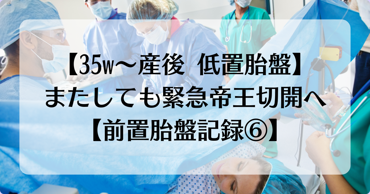 【35w～産後 低置胎盤】またしても緊急帝王切開へ【前置胎盤記録⑥】